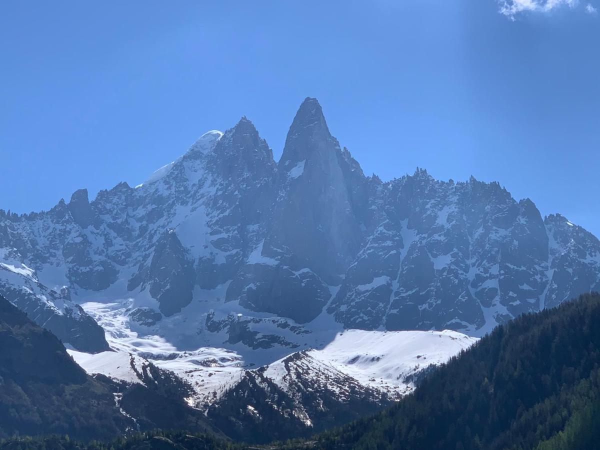 Hotel Le Labrador Chamonix Eksteriør bilde