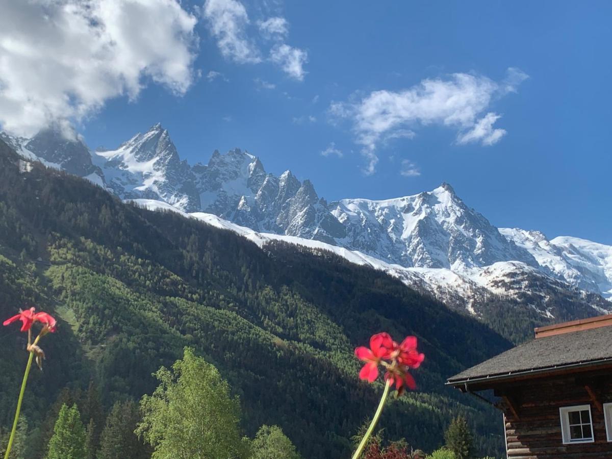 Hotel Le Labrador Chamonix Eksteriør bilde
